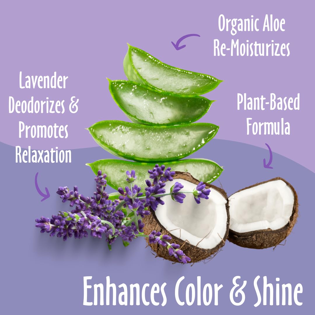 Earthbath, Lavender Dog Shampoo - Coat Brightening Shampoo For Dogs, Deodorizing Dog Wash, Made In Usa, Shampoo For Smelly Dogs, Cruelty Free Pet Shampoos - 16 Oz (1 Pack)