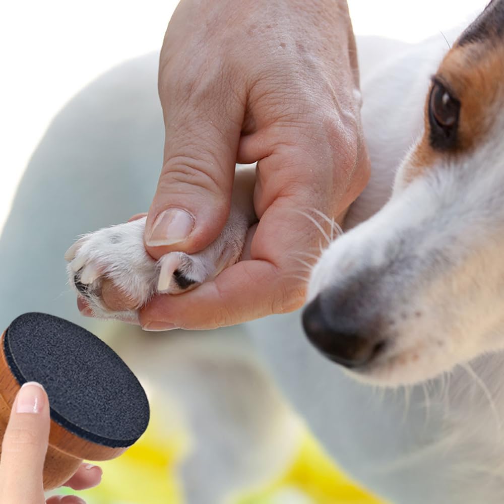 Arvintas Dog Nail File With 4Pcs Replaceable Sandpaper, Dog Scratch Pad For Nails Stress-Free Nail Filing For Dogs Mini Nail Scr