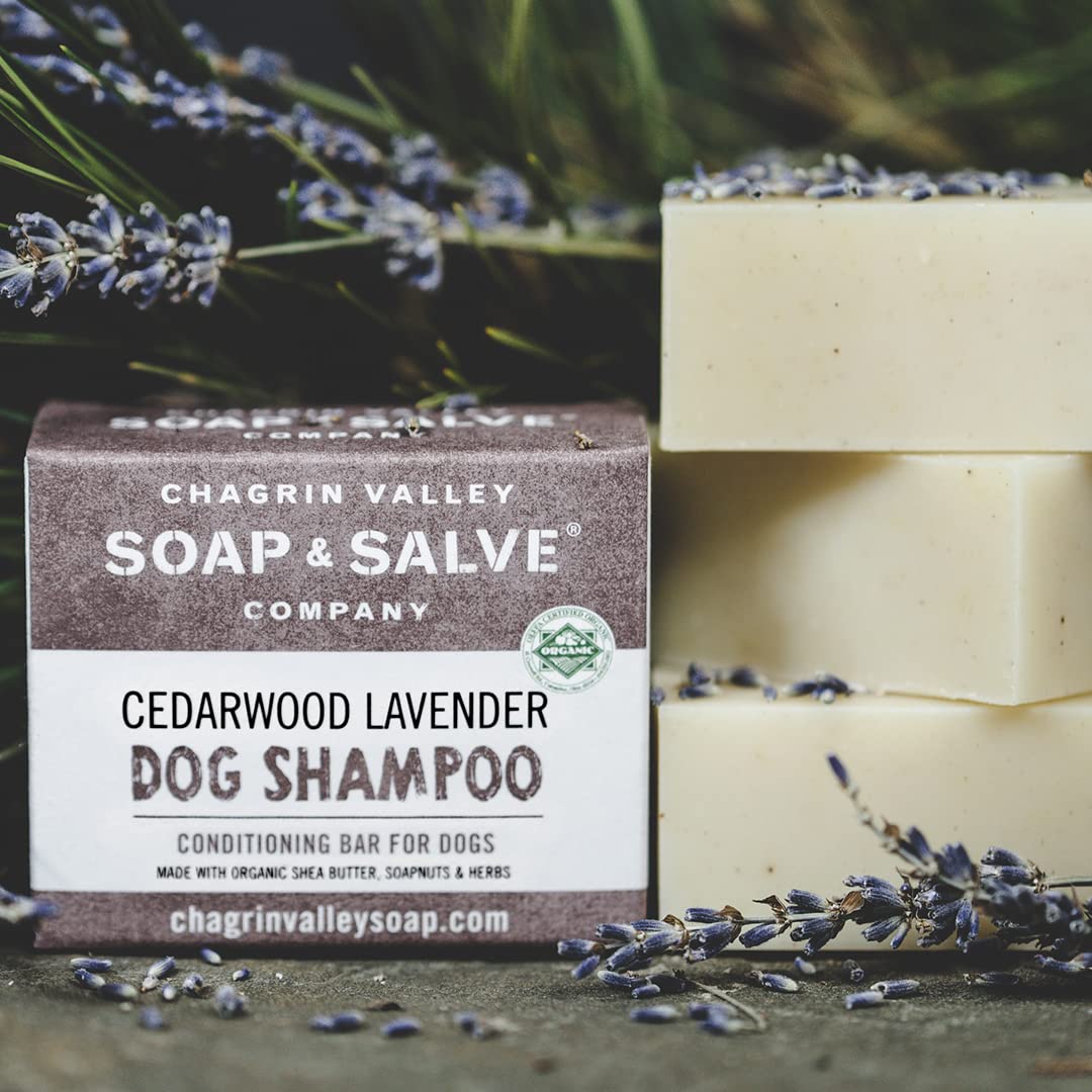 Organic Natural Dog Shampoo - Cedarwood Lavender 3.8 Oz Bar - Chagrin Valley Soap & Salve -
