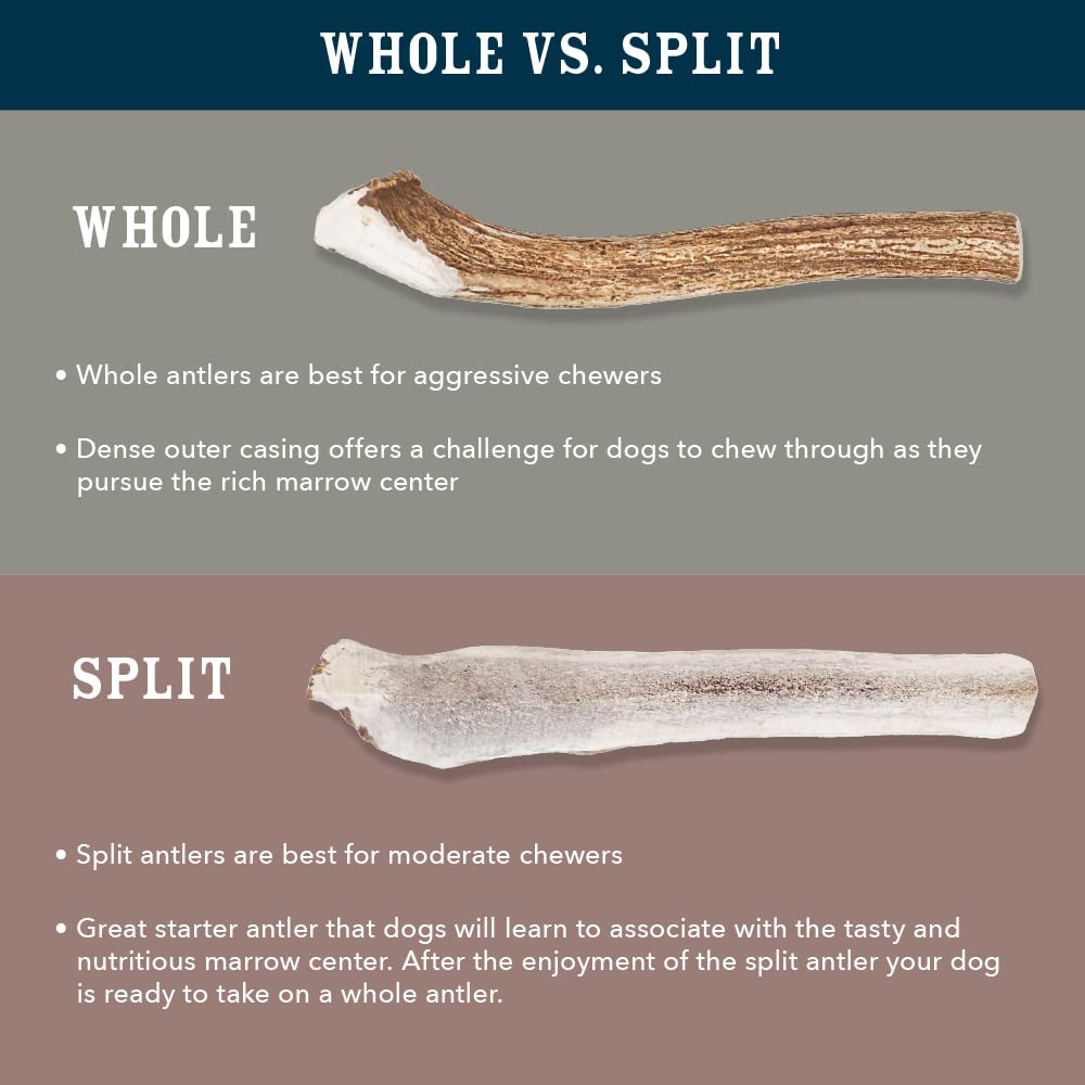 Amazon Brand - Wag Elk Antler - Whole - Long Lasting For Aggressive Chewers - Small 4-5.5 Inches (Best For Dogs Under 15 Lbs), 0