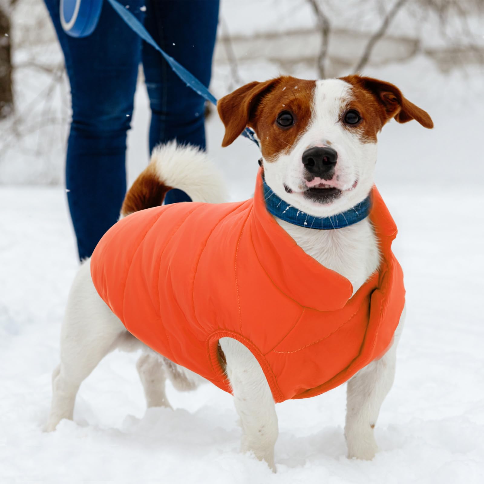 Asenku Windproof Dog Winter Coat Waterproof Dog Jacket Warm Dog Vest Cold Weather Pet Apparel With 2 Layers Fleece Lined For Small Medium Large Dogs (Orange, 3Xl)