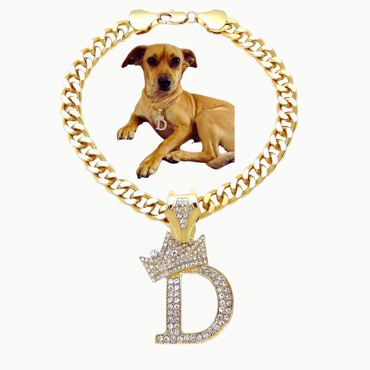 Initial Letter Cuban Chain Dog Chain Pet Chain Pet, Cat, Puppy Necklace (D, 16'')