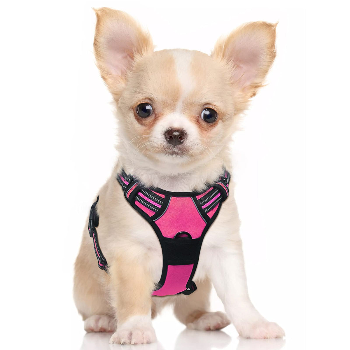 Rabbitgoo Dog Harness, No-Pull Pet Harness With 2 Leash Clips, Adjustable Soft Padded Dog Vest, Reflective No-Choke Pet Oxford Vest With Easy Control Handle For Small Dogs, Hot Pink, S