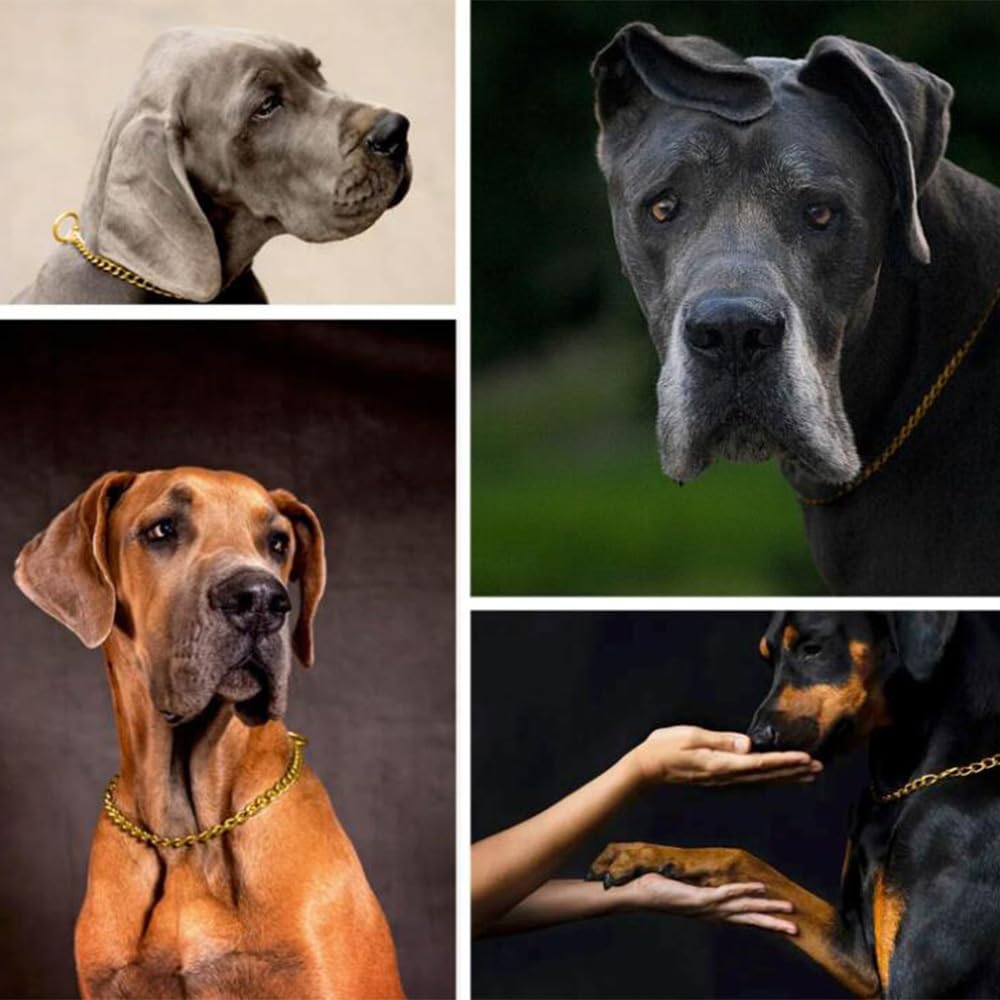 Gold Choker Collar For Dogs,Heavy Chain Dog Collar Metal Training Slip P Link Martingale Collars Puppy Choke Chain For Xxs Xs Sm