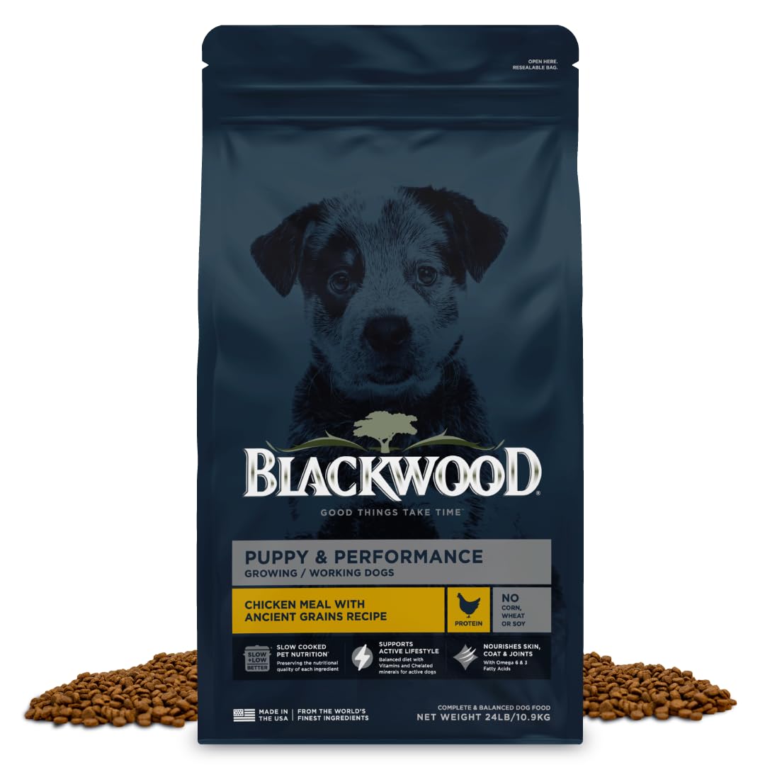Blackwood Puppy & Performance Dry Dog Food, Chicken Meal with Ancient Grains, 24 Pound Bag for Growing & Working Dogs, Supports 