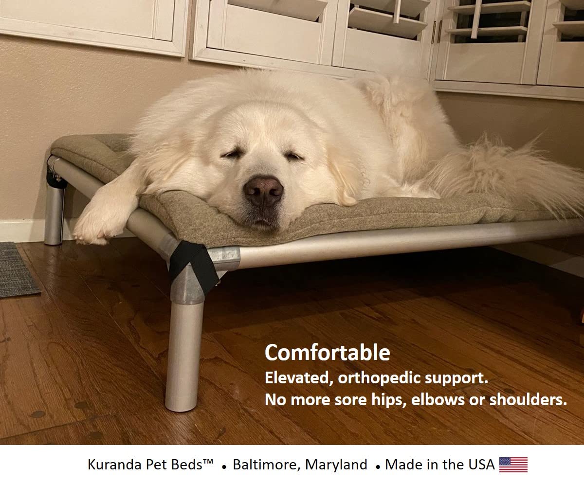 Kuranda Chewproof Bed - Silver Aluminum - 25'' x 18'' - Cordura Nylon - Gold