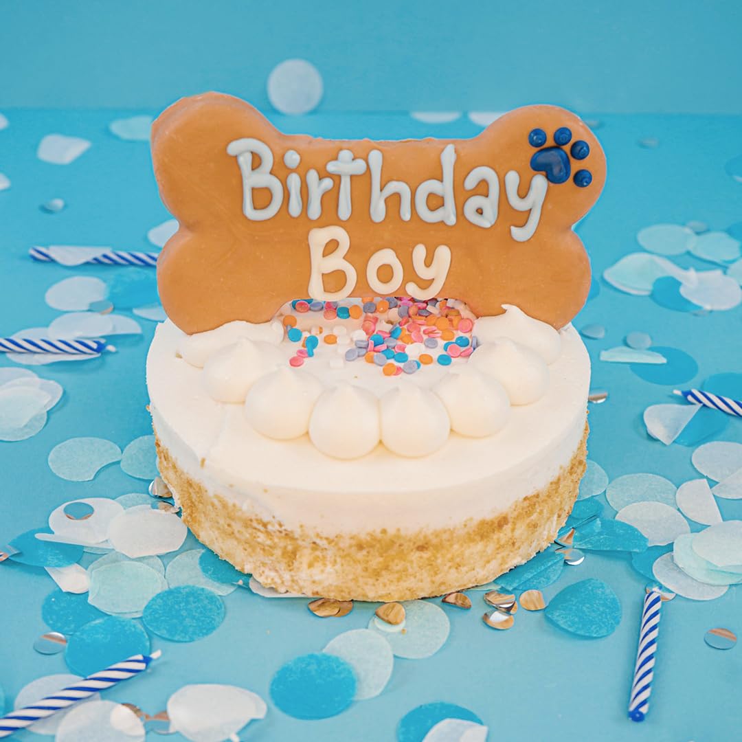 Wufers Dog Birthday Cookie Box - Dog Cookies, Human Grade Ingredients, Cute Hand Decorated and Gentle for Tummies of All Breed S