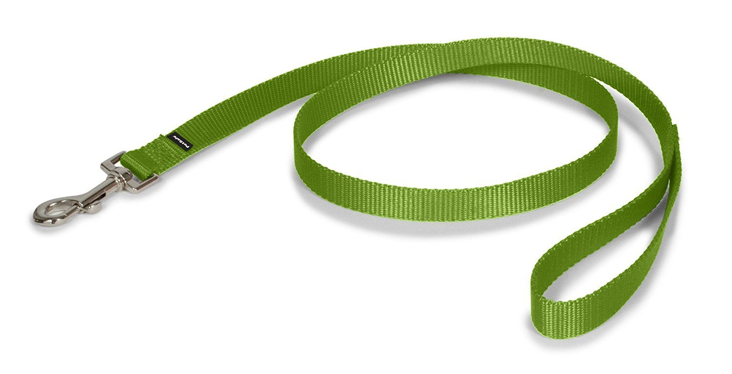 Petsafe Nylon Dog Leash - Strong, Durable, Traditional Style Leash With Easy To Use Bolt Snap - 1'' X 6', Apple Green