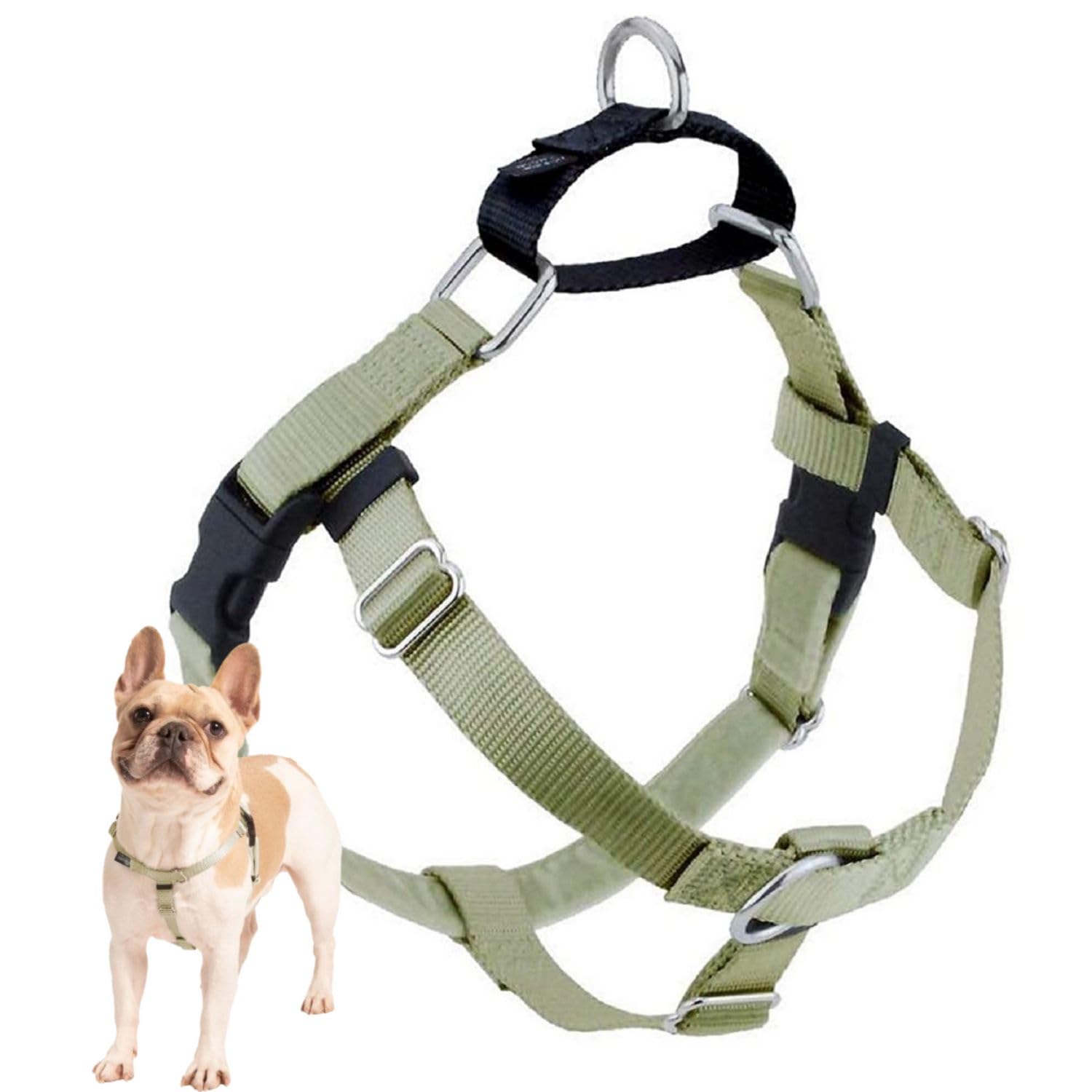 2 Hounds Design Freedom No Pull Dog Harness, Adjustable Harness, Easy Walking & Comfortable Control, Fits Small, Medium & Large Dogs, Solid Colors, Made In Usa, 1' Lg, Tan