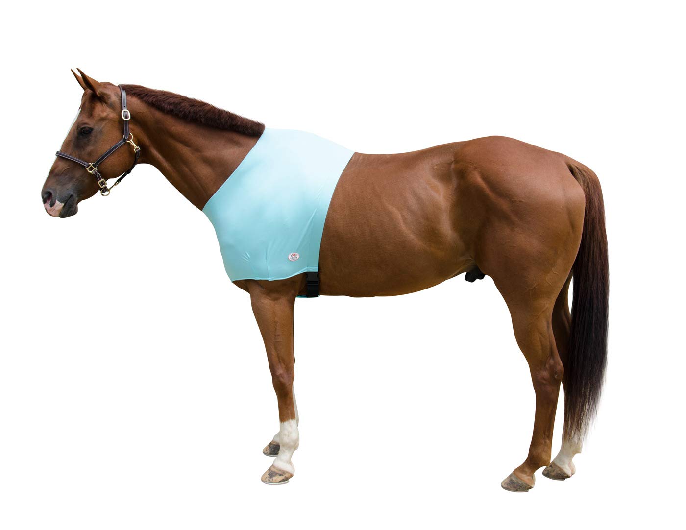 Derby Originals Comfort Stretch Lycra Sleazy Horse Shoulder Guard