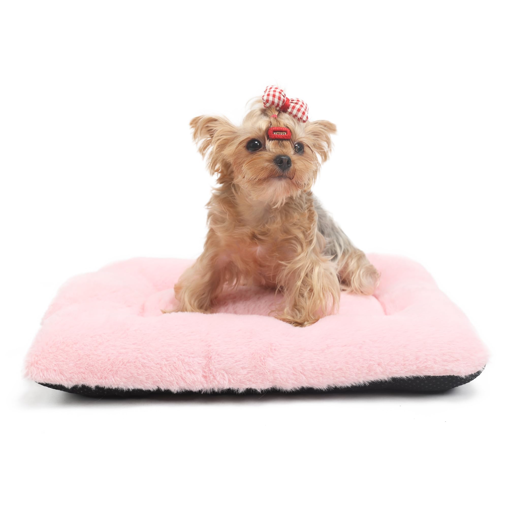 Wrkfree Dog Crate Bed 22 Inch Ultra Soft Pet Bed Washable Crate Mat For Toy Dogs Breed And Indoor Cat Ideal For Dog Crates 22 X 