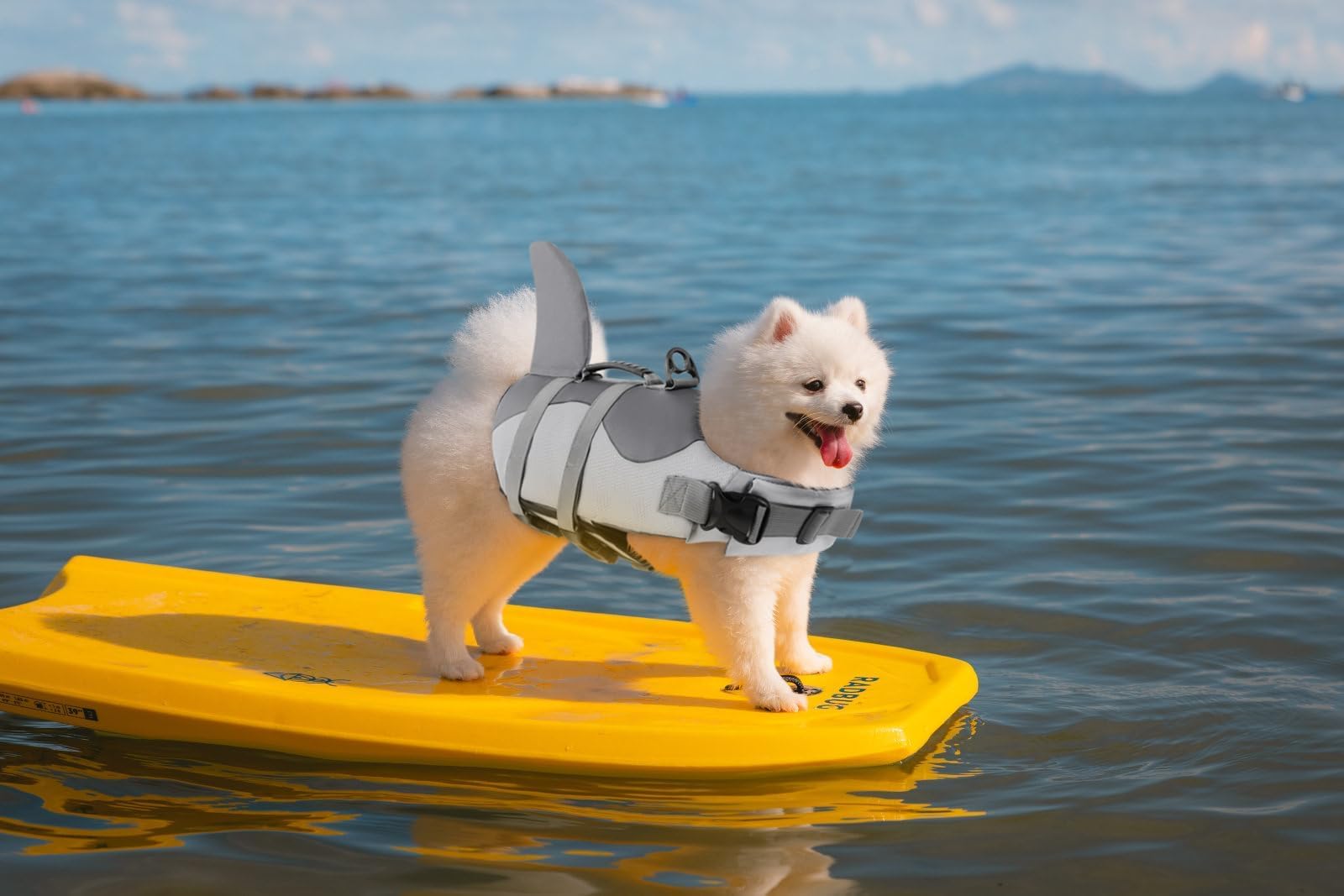 Asenku Dog Life Jacket Pet Life Safety Vest For Swimming Boating, Dog Shark Life Jackets Dog Lifesavers Swimsuits For Pool, Dog Water Floatation Vest For Small Medium Large Dogs, Gray, Medium