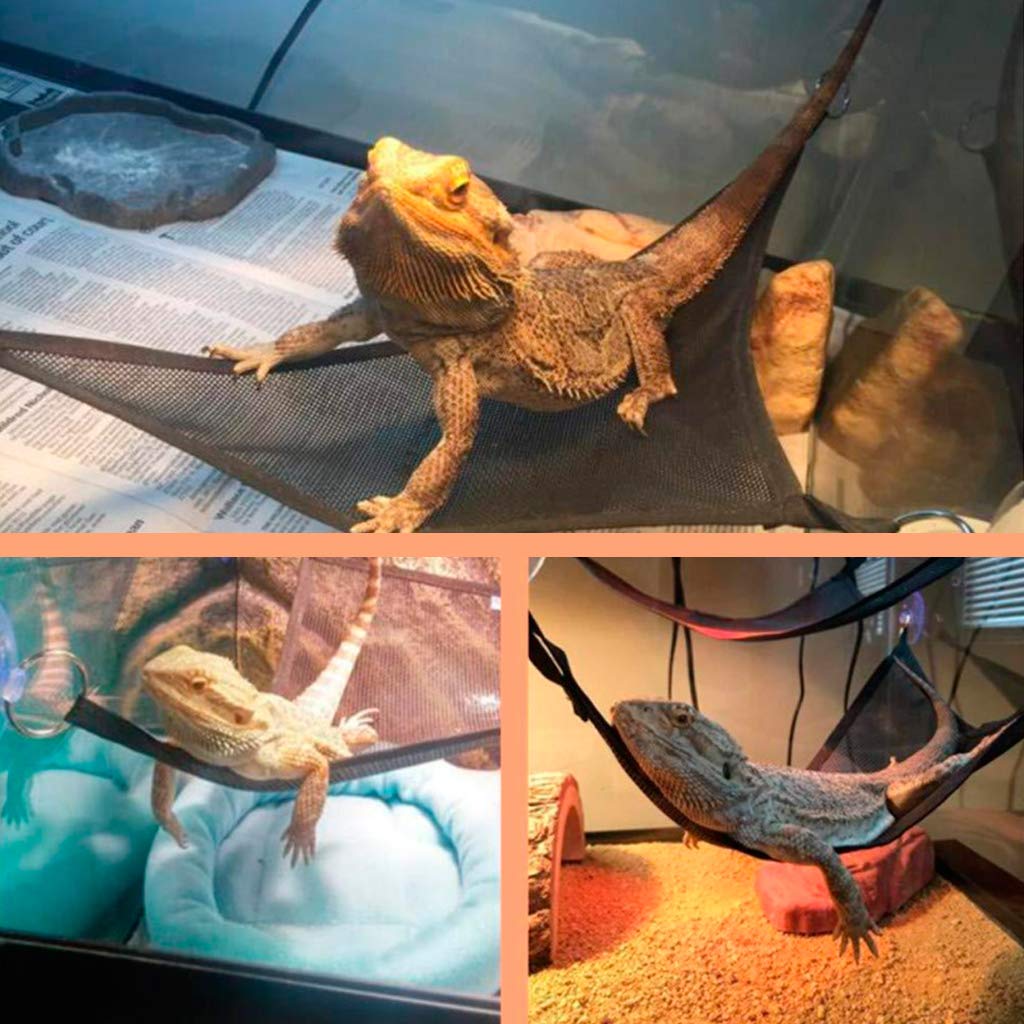 2Pcs Bearded Dragon Lizard Hammock - Breathable Mesh Geckos Hammock Reptile Hammock, Suitable for Lguanas, Axolotls, Anoles, Gec