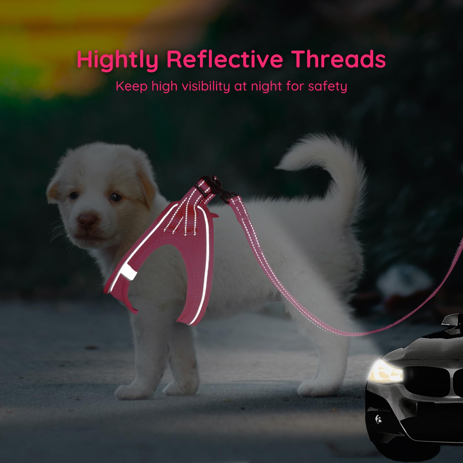 Bella & Pal Puppy Harness With Leash Set, Dog Harness For Small Dogs No Pull, Dog Leash For Small Dogs, Step In Harness For Extra Small Dogs, Hot Pink Harness, Xs