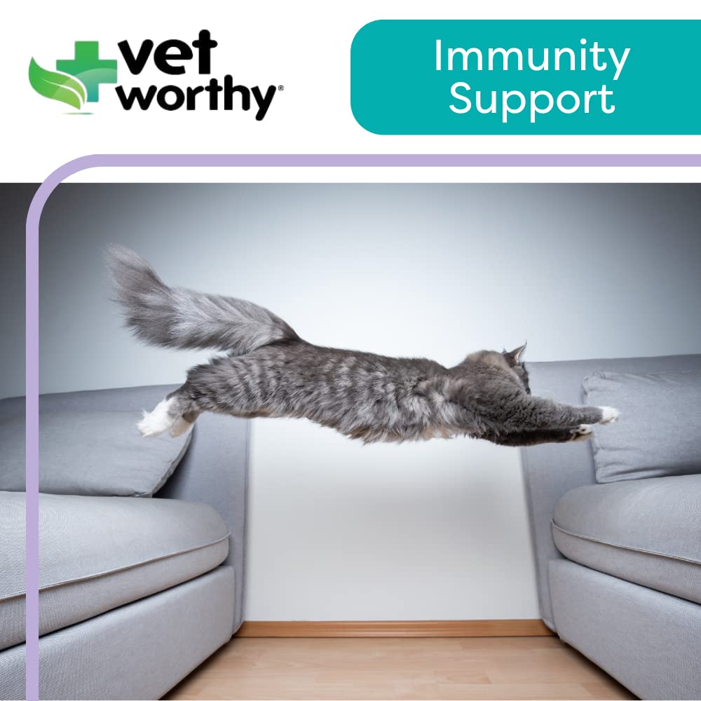 Vet Worthy Lysine Paw Gel Aid for Cats - Cat Paw Gel to Support The Immune System and Overall Health - Cat Supplement with Amino