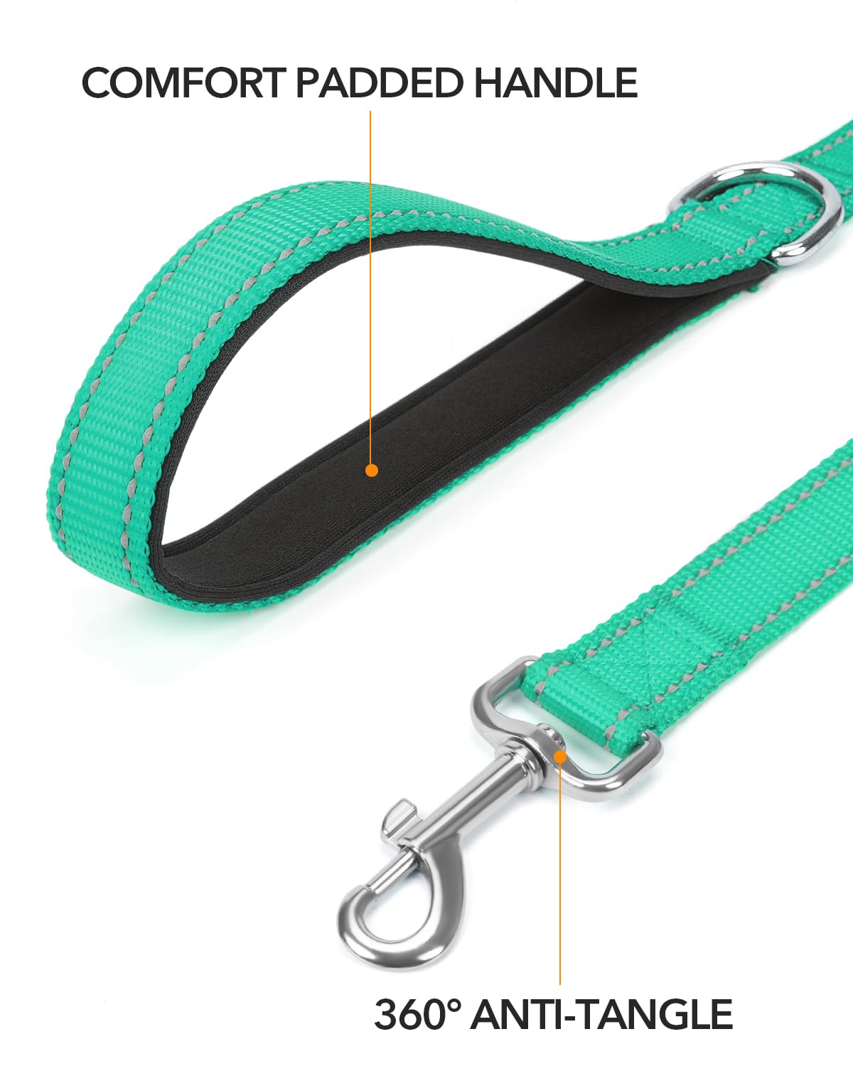 Taglory Dog Leash For Small Dogs, Double-Sided Reflective Leash With Soft Neoprene Padded Handle, 3/4 Inch By 6 Ft, Fit Small Me