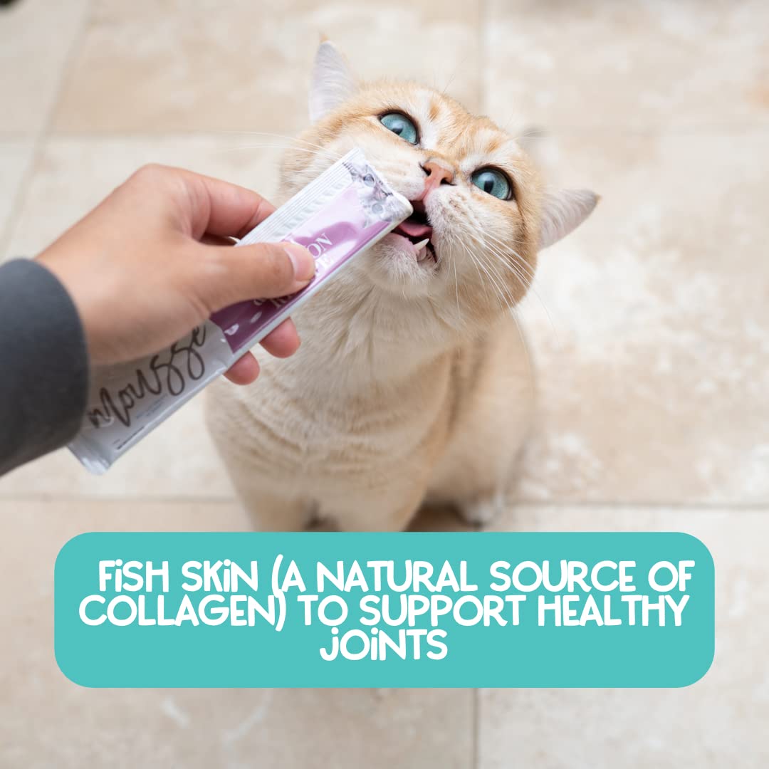 LOVE, NALA - Natural Lickable Cat Squeeze Up Treat,Topper - Variety Plus Pack Mousse - Wet Food Cat Puree - Grain Free, Non_GMO
