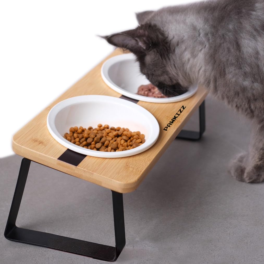 Elevated Cat Bowl Stand for Food and Water - Anti-Vomit Raised Feeding Station with Tilted Stand - Removable Round Ceramic Bowls