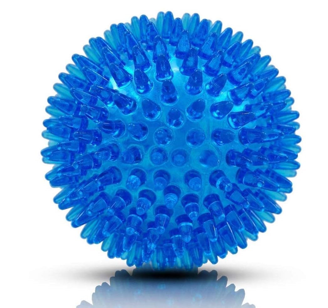 D&C PAWS Dog Squeaky Chew Toy Natural Rubber Toy Ball  Tough Strong Teething Toy I Small & Large Breed Dogs Indestructible Bore