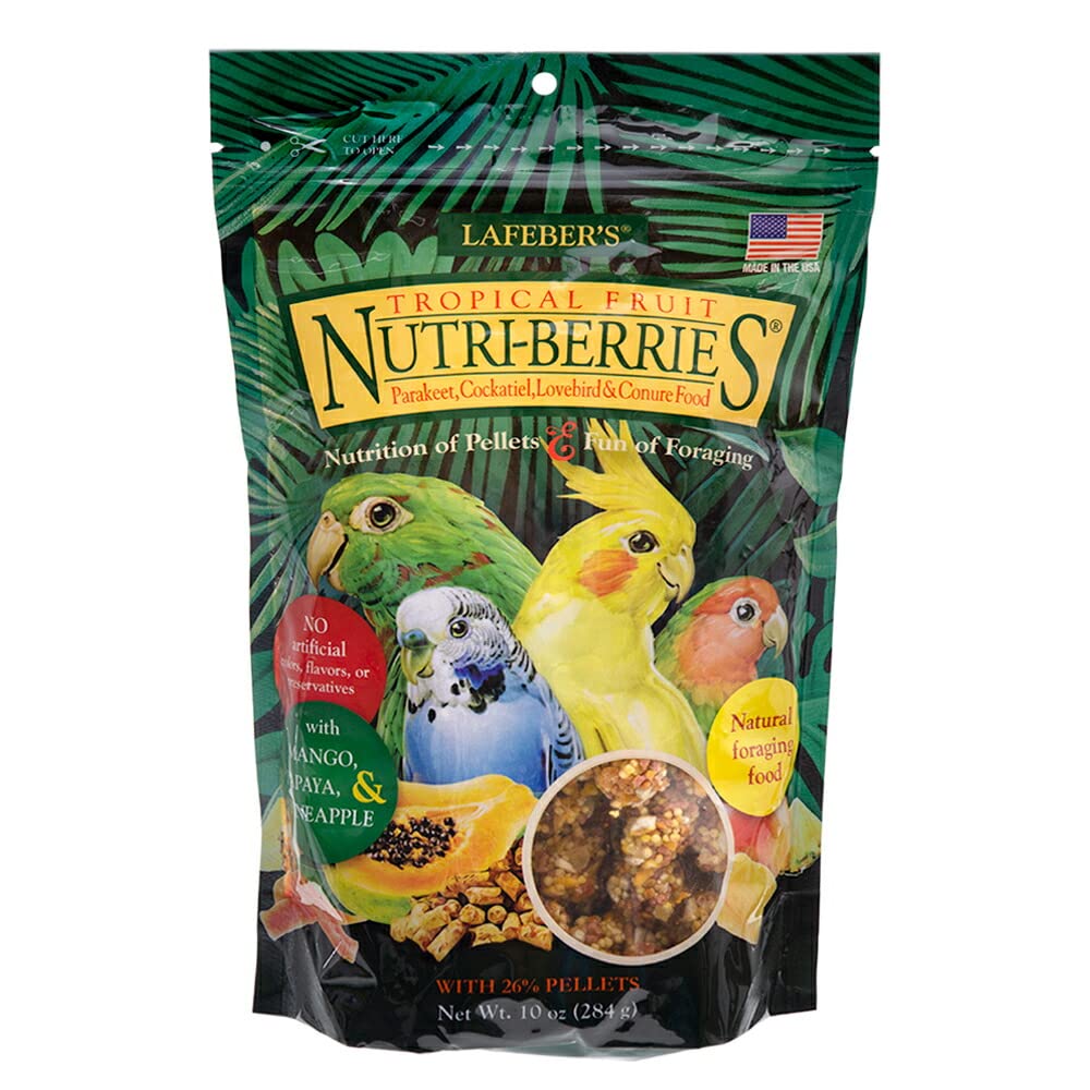 LAFEBERS Tropical Fruit Nutri-Berries Pet Bird Food, Made with Non-GMO and Human-Grade Ingredients, for Cockatiels Conures Para