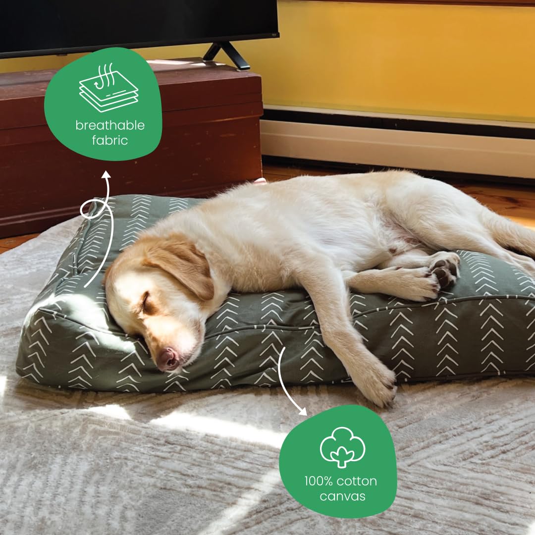 Molly Mutt Small Dog Bed Cover - Forever Young Print - Measures 22   X27   X5 - 100% Cotton - Durable - Breathable - Sustainable