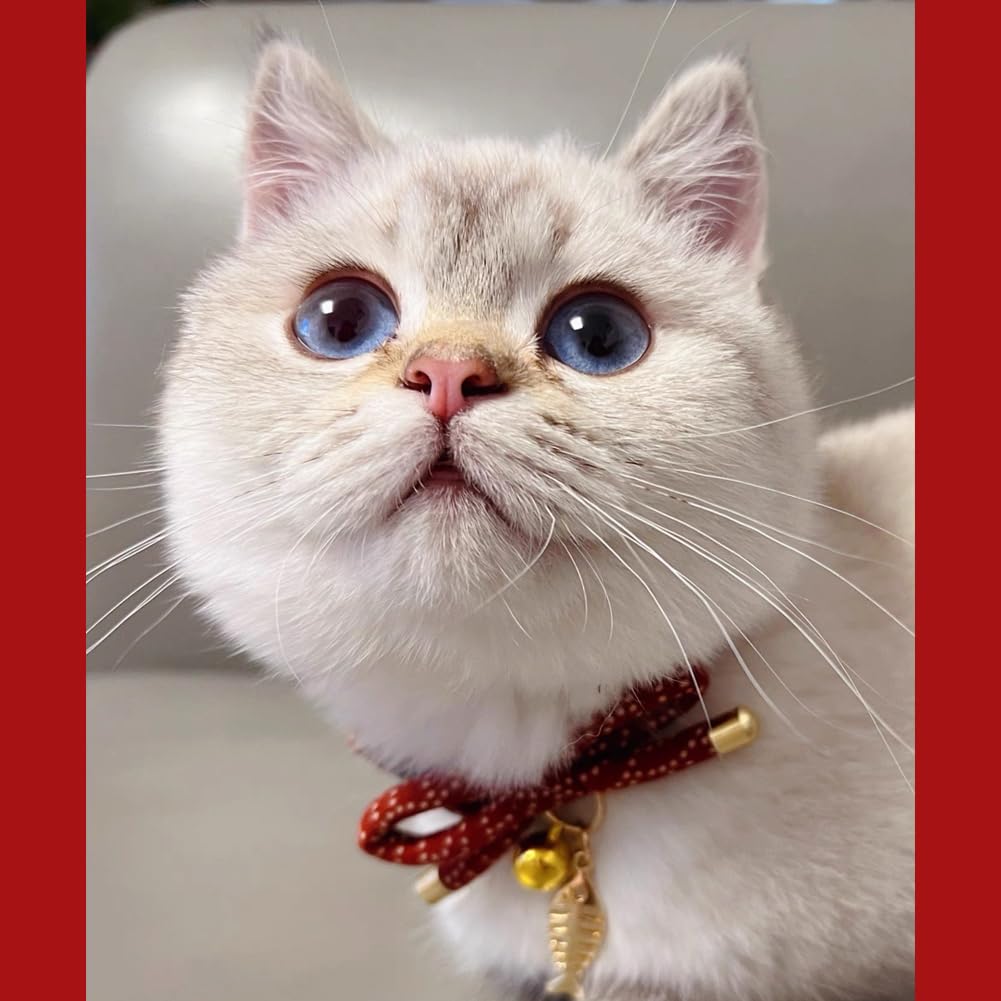 Cute Bowtie Cat Collar With Bell. Japanese Stylish Bowknot & Fish Charm. Safety Breakaway, Soft, Lightweight, For Girl Boy Male