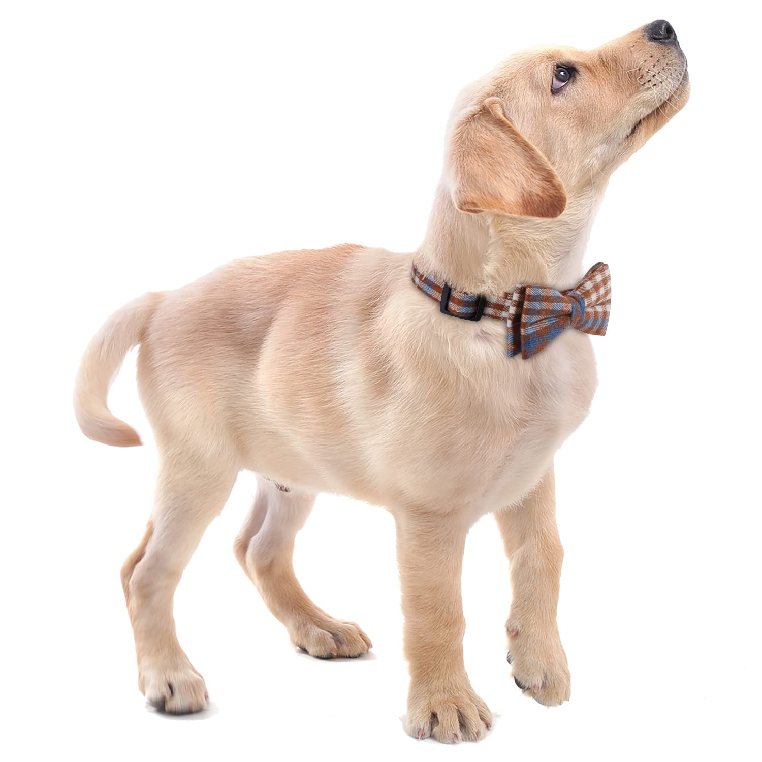 Faleela Soft &Comfy Bowtie Dog Collar,Detachable And Adjustable Bow Tie Collar,For Small Medium Large Pet (Large(Pack Of 1), Blu