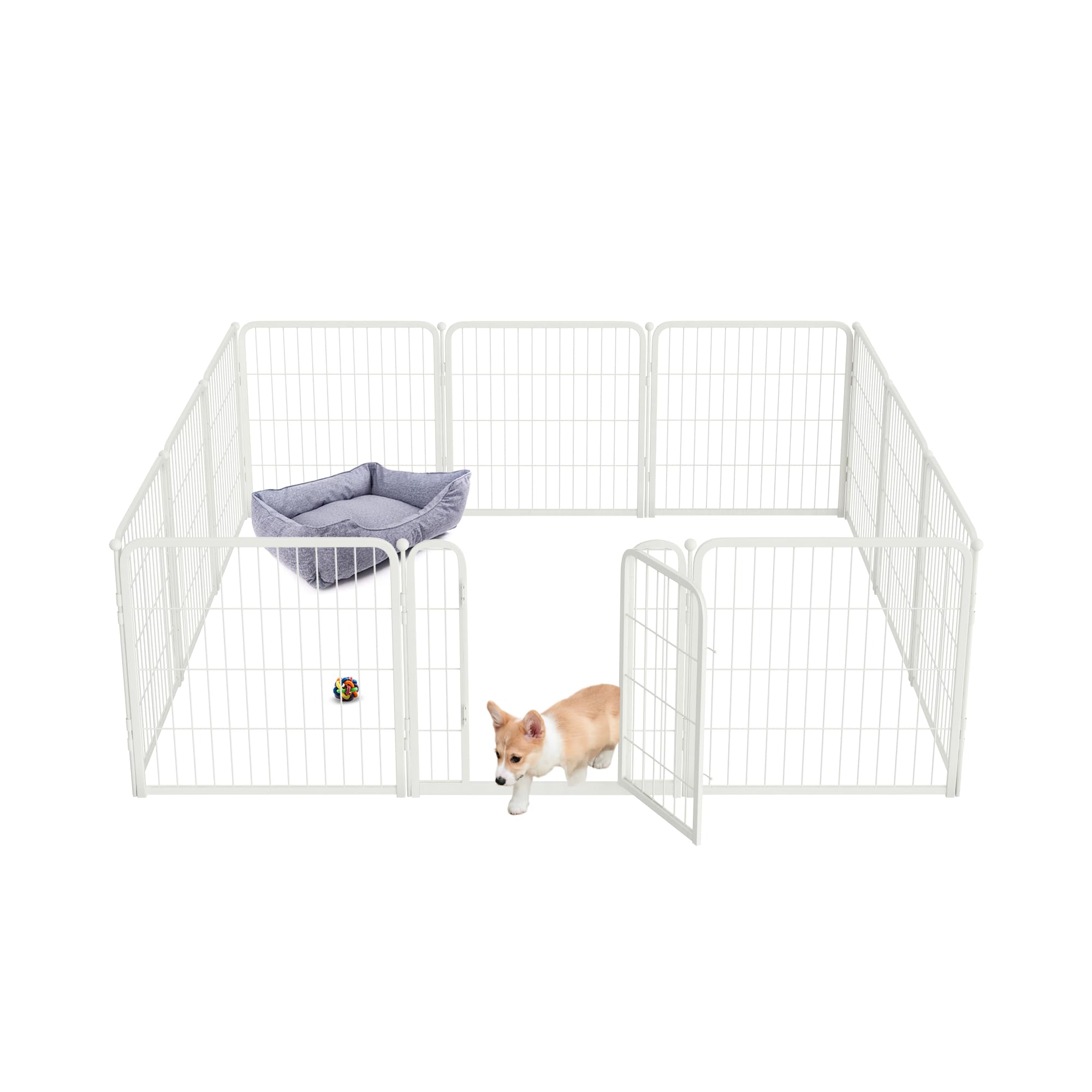 Fxw Homeplus Indoor Dog Playpen - Stress-Free And Safe Play, 24 Inch 12 Panels For Puppy And Small Dogs, White│Patented