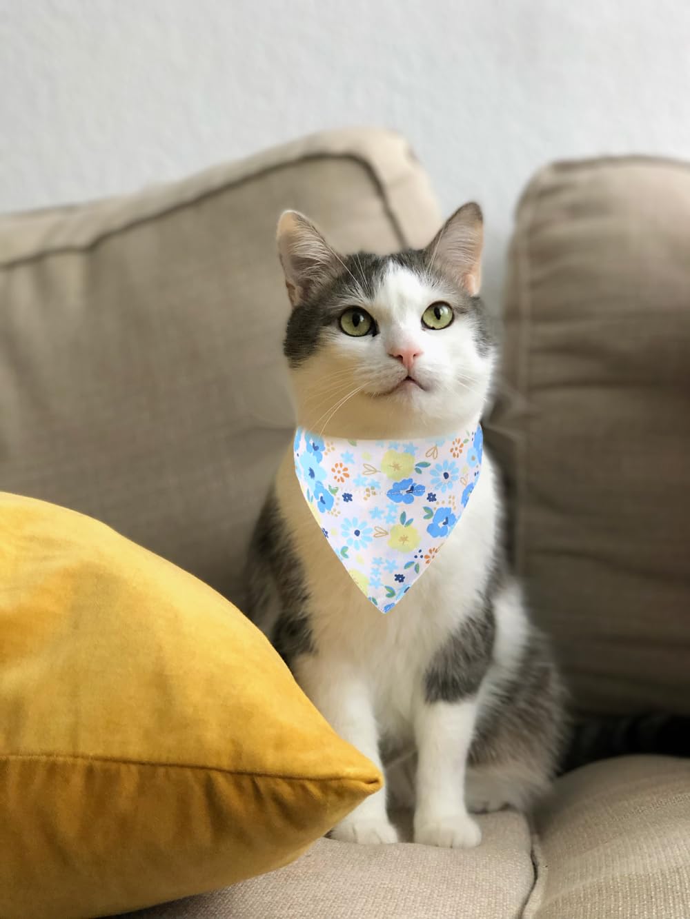 Cat Collars Breakaway With Bandana Bell Plaid Flower Pet Kitten Adjustable For Small Dog Puppies Girl Boy