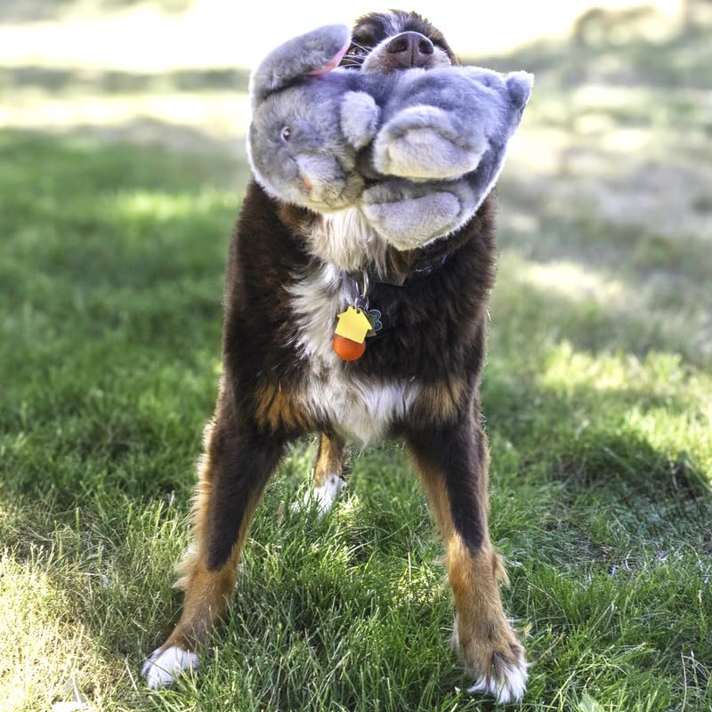 Kong Toughz Durable Plush Dog Toy (Bunny)