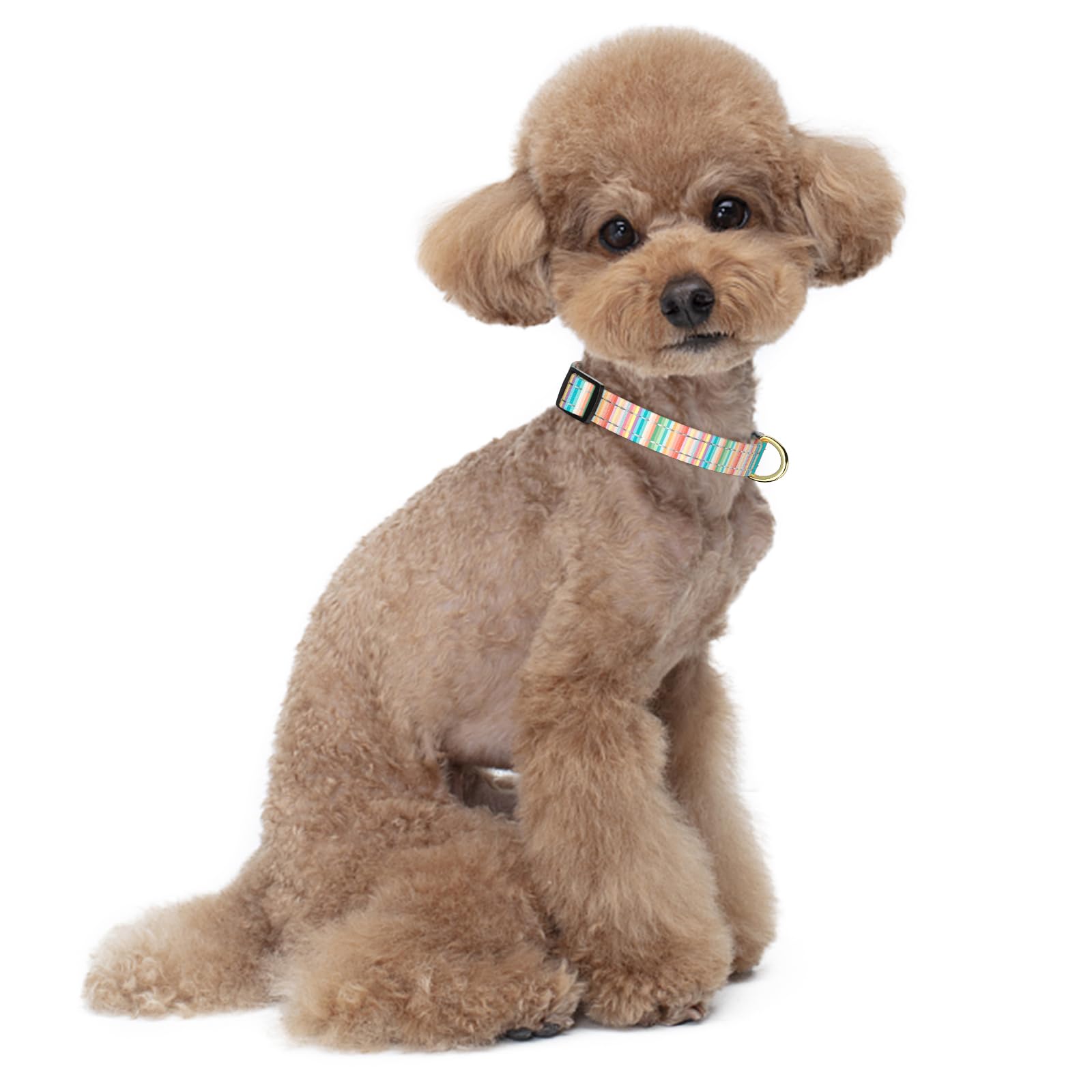 Tmoodel Reflective Dog Collar, Cute Dog Collar For Small Dogs, Soft Nylon Puppy Collar For Boy And Girl Female Dogs, Adjustable