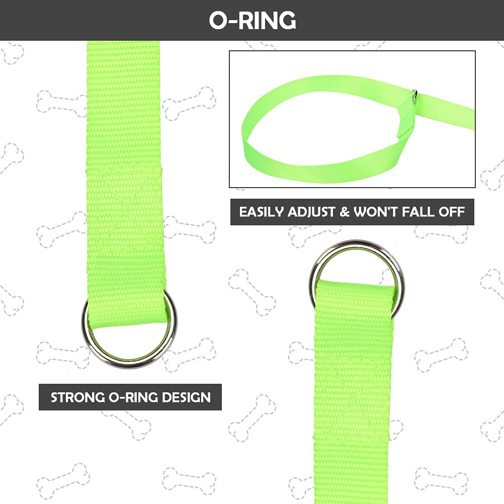 Homimp Slip Lead Dog Leash 6 Ft- 8 Pcs Bulk Colors Kennel Control Leashes For Small Medium Large Dogs Puppy Animal Rescue, Groom