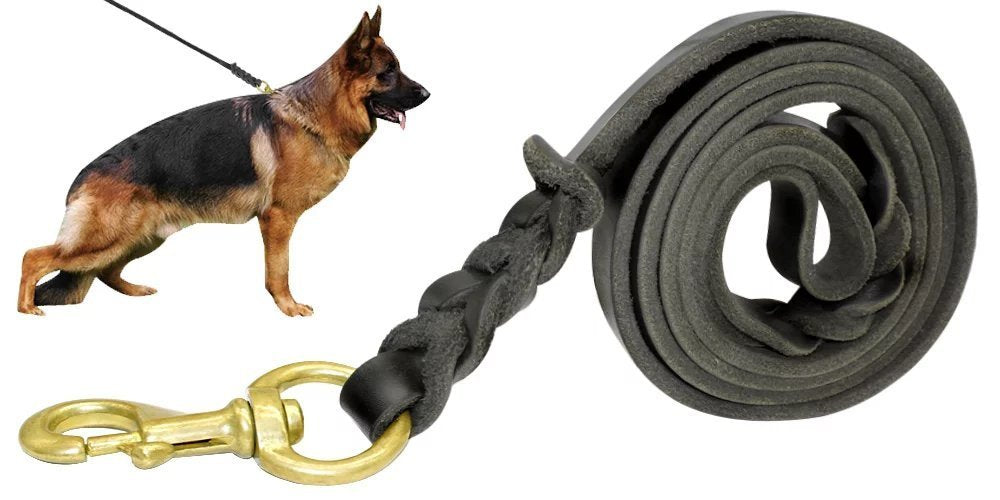 Berry Pet Leather Dog Leash - Training & Walking Braided Dog Leash - 3.6 Ft By 3/4 In (110Cm 1.8Cm) - Latigo Leather Black