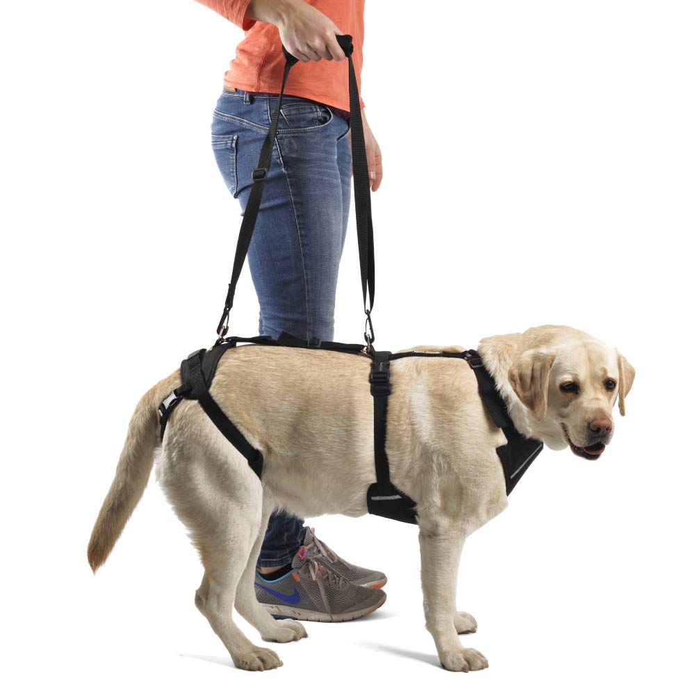 Ortocanis - Full-Body Dog Harness For Fore And Hind Support. Size S