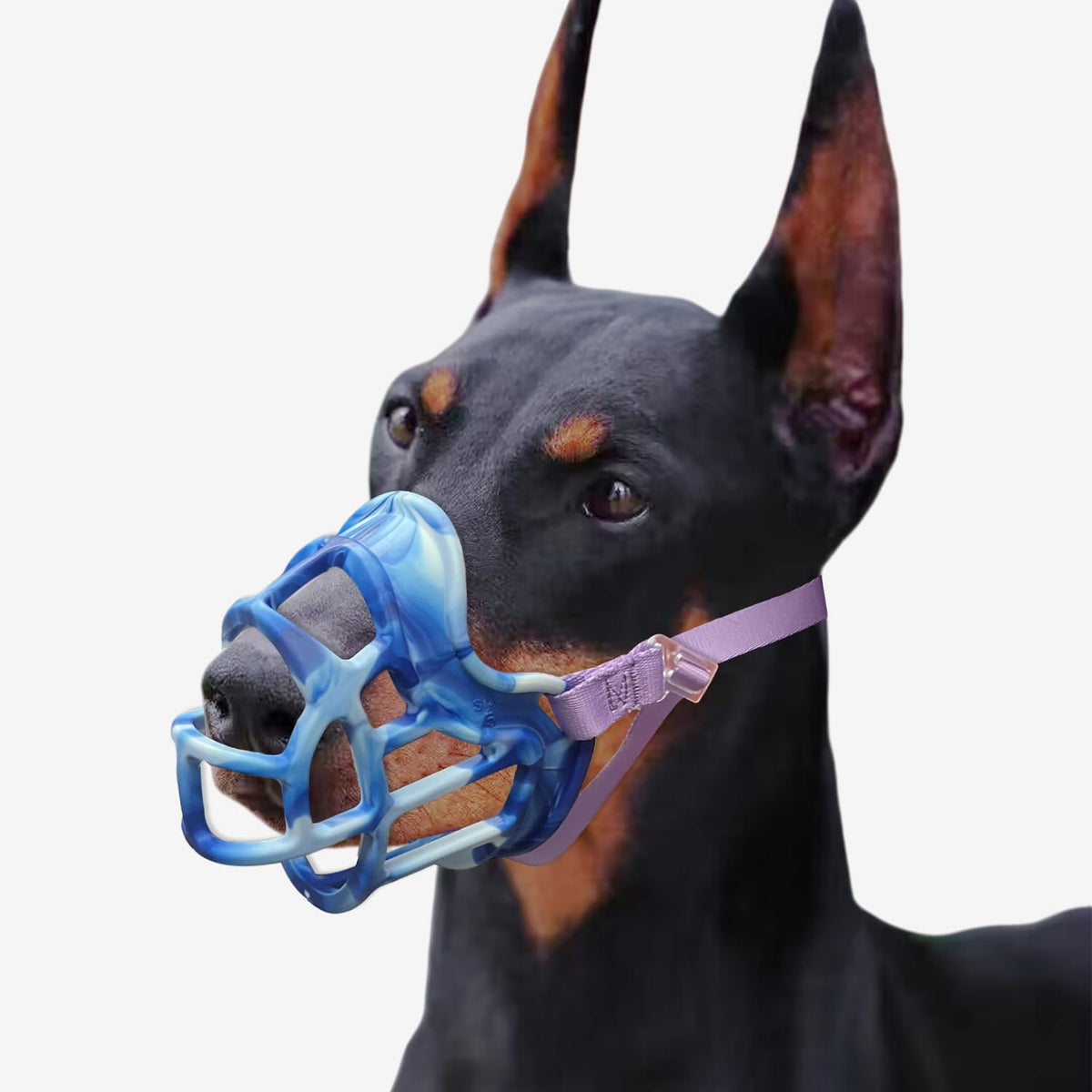 Basket Muzzle Allows Panting Drinking, Sturdy Lightweight, For Small Medium Large Dogs, For Grooming Trimming Training (Blue, Si