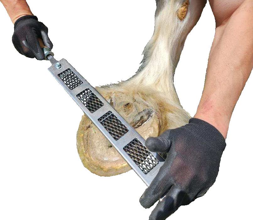 Cody James Dymondback Rasp - Best File For Trimming A Horse Hoof - Choose Fine, Medium Or Aggressive (Fine)