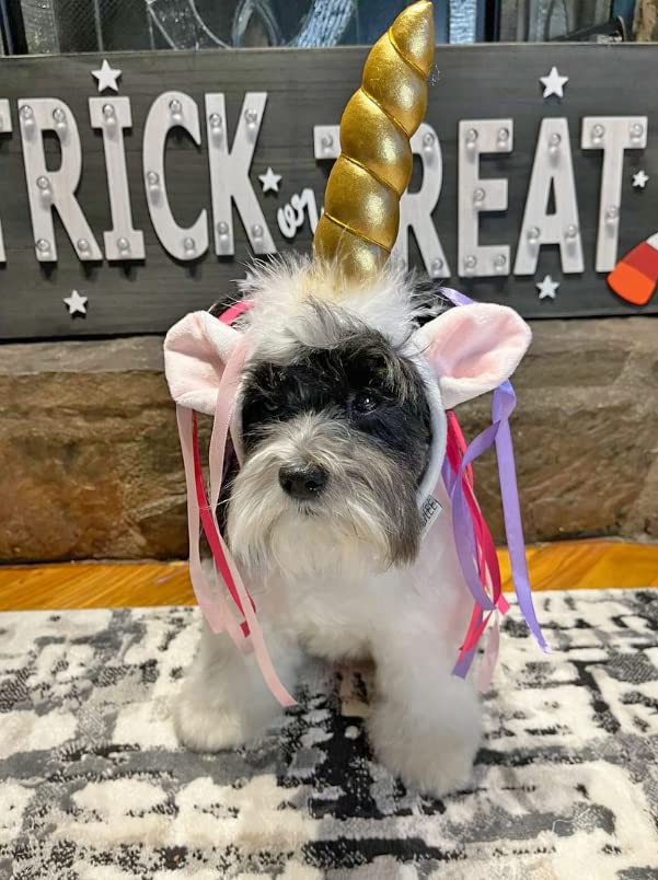 Midlee Dog Unicorn Horn Headband Halloween Costume