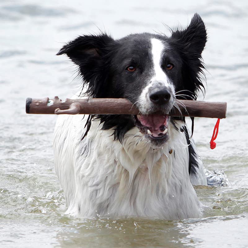 Doog Barkley Fetch Stick - Safe And Splinter-Free Rubber Dog Toy, Lightweight, Durable, And Floatable - Perfect For Active Dogs,