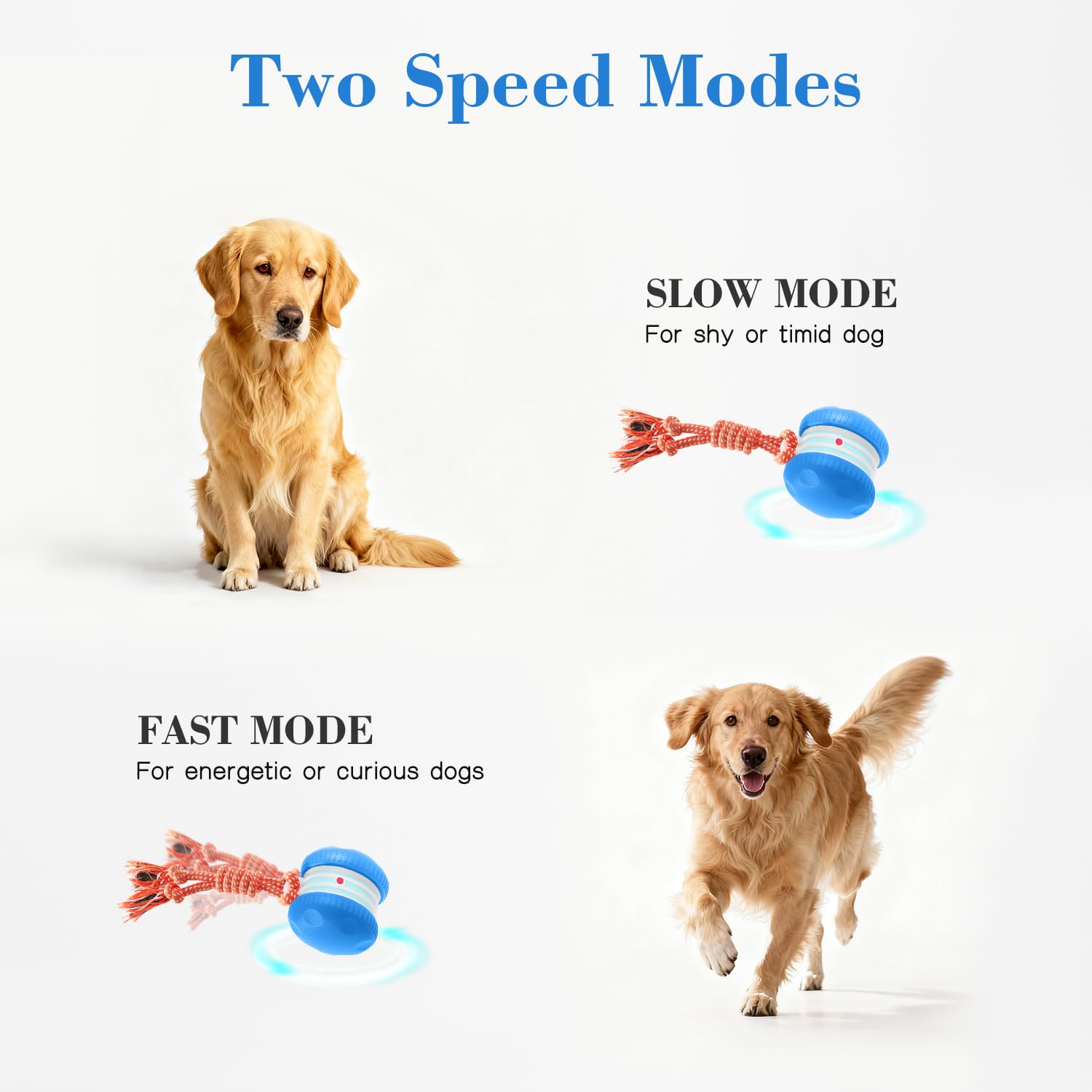 PJC Interactive Dog Toy - Automatic Electric Rolling Ball with Rope, Motion-Activated Play, Random Movement, Rechargeable, Ideal