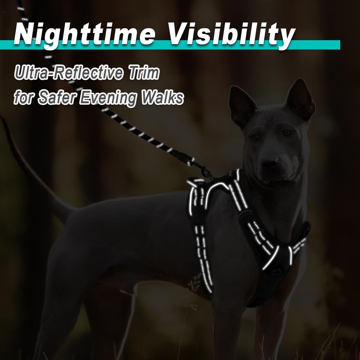 Barkbay Dog Harness No Pull For Medium Dogs - Adjustable, Reflective, Comfortable, No Choke, Heavy-Duty - Perfect For Outdoor Tr