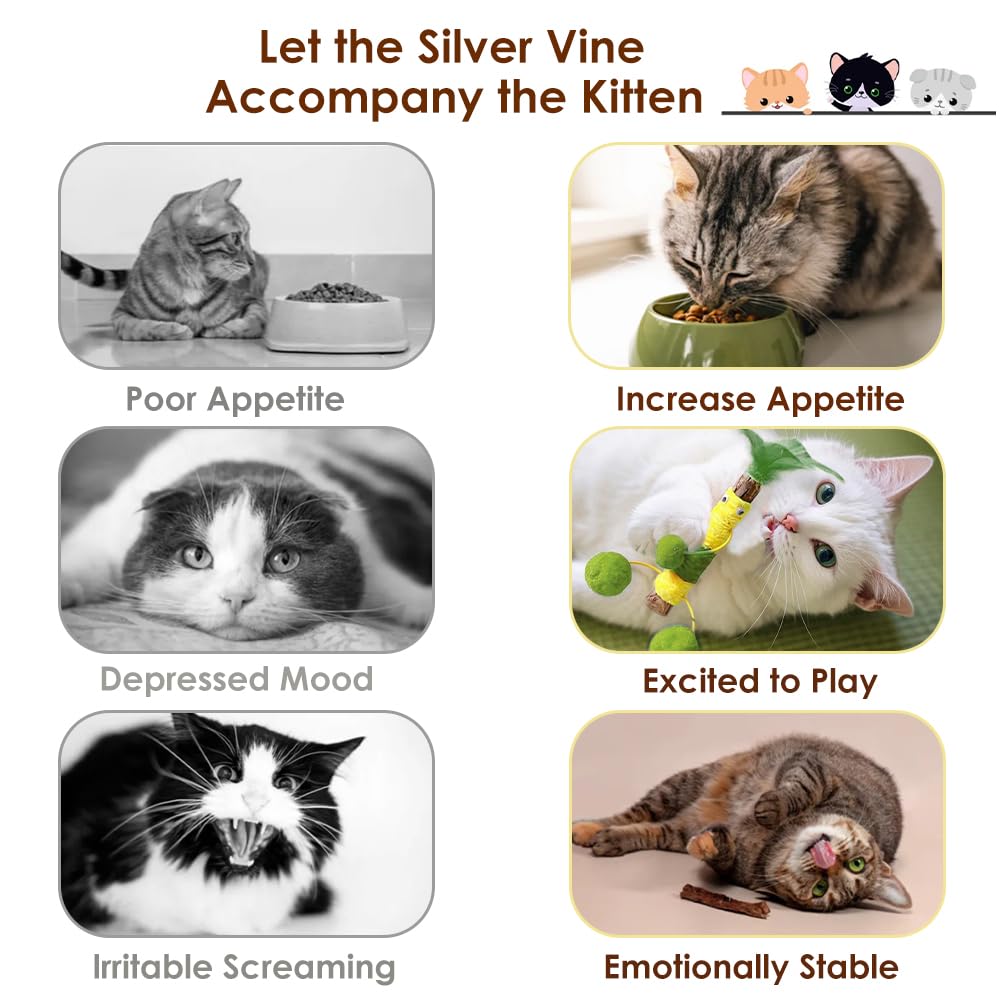 3 Pack Silvervine Sticks For Cats With Feather And Plush Ball,Creative Toy To Kill Time And Keep Fit Interactive ,Dental Toy For