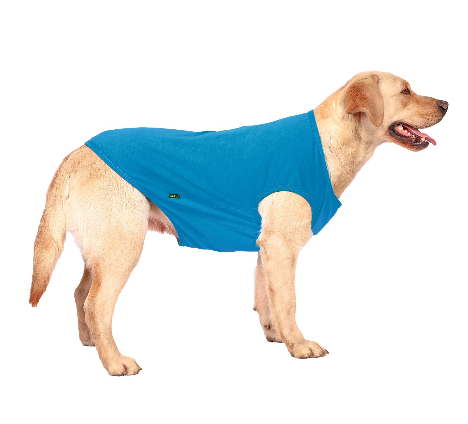 Sychien Dog Blank Blue Shirt,Boy Girl Dogs Large Tee Shirts,Plain French Bulldog T-Shirt,L Blue Royal