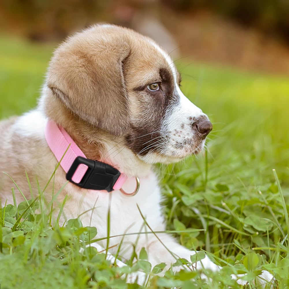 PENSEEPET Pink Dog Collar Basic Adjustable Dog Collars for Puppy Small Medium Large Dogs Girls with Breathable Quick Release Nyl