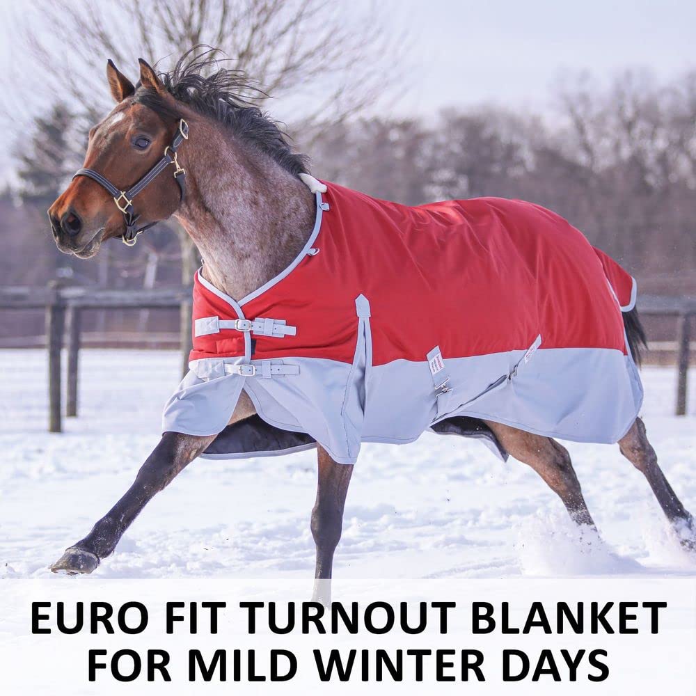 Dura-Tech Viking Horse Turnout Sheet | Open Front with 2 Buckle | Waterproof, Windproof & Breathable Blanket | Criss-Cross Surci