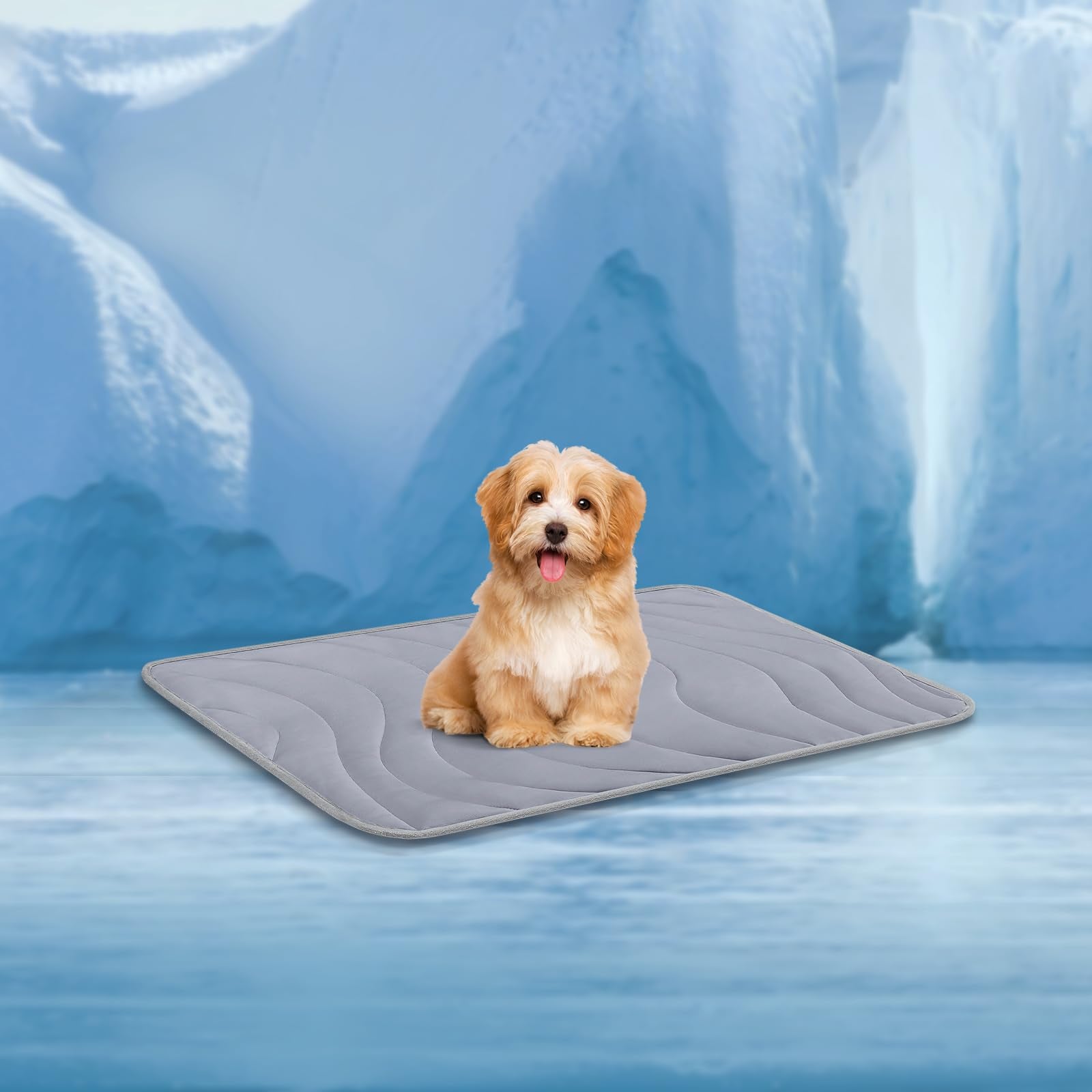 Cozyide Dog Cooling Mat, Small Cooling Mat For Dogs, Reversible Pad For Dog, 28'' L X 22'' W, Dark Grey