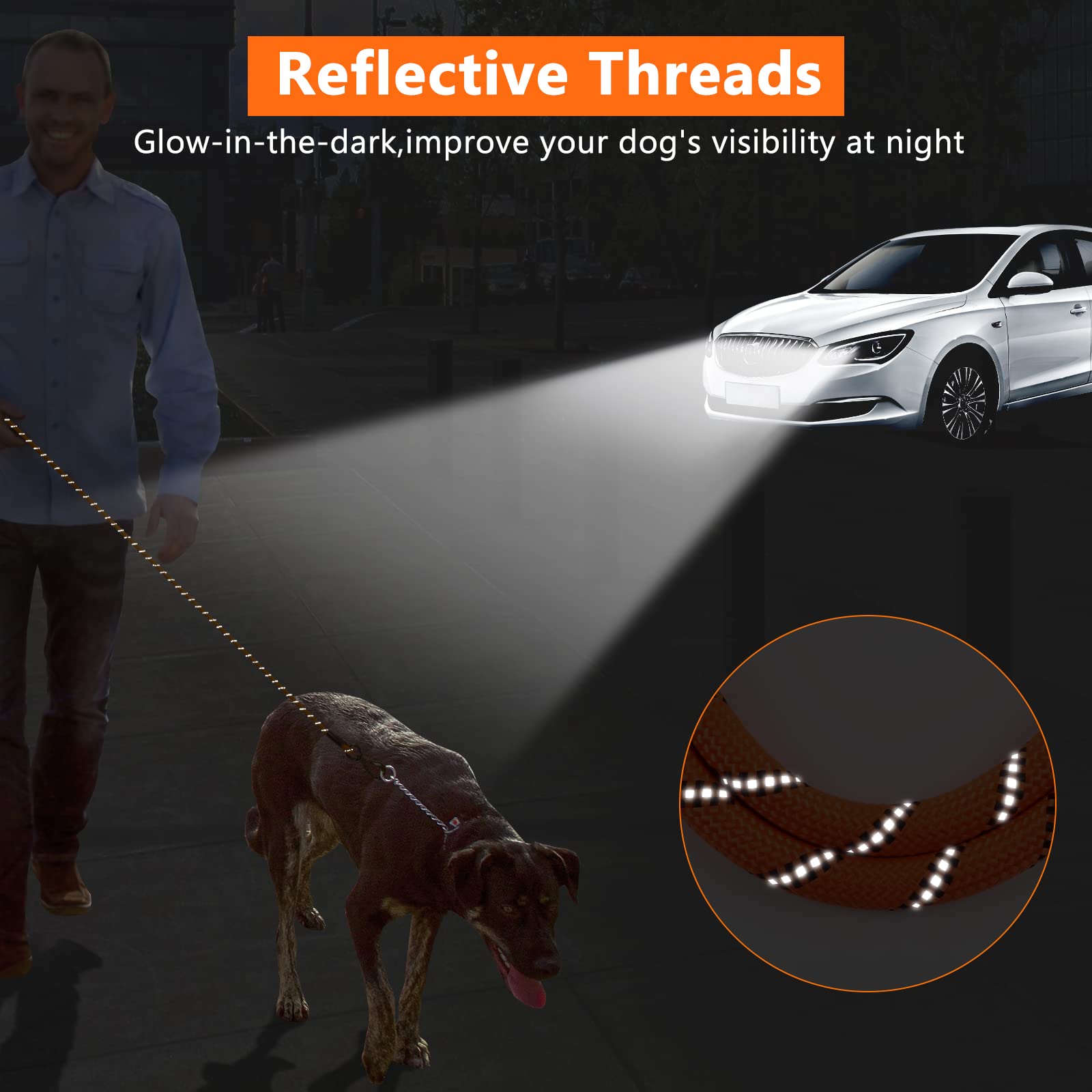 Ntr 100Ft Leash For Large Breed Dog, Long Leash With Swivel Lockable Hook, Padded Handle And Highly Reflective Thread, Pet Lead