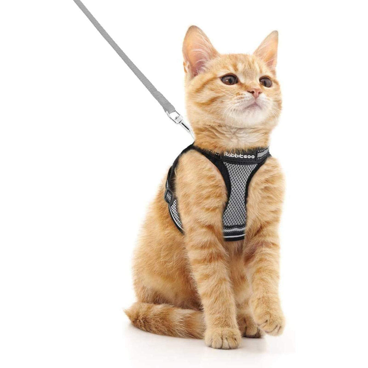 Rabbitgoo Cat Harness And Leash Set For Walking Escape Proof, Adjustable Soft Kittens Vest With Reflective Strip For Cats, Comfortable Outdoor Vest, Grey, M