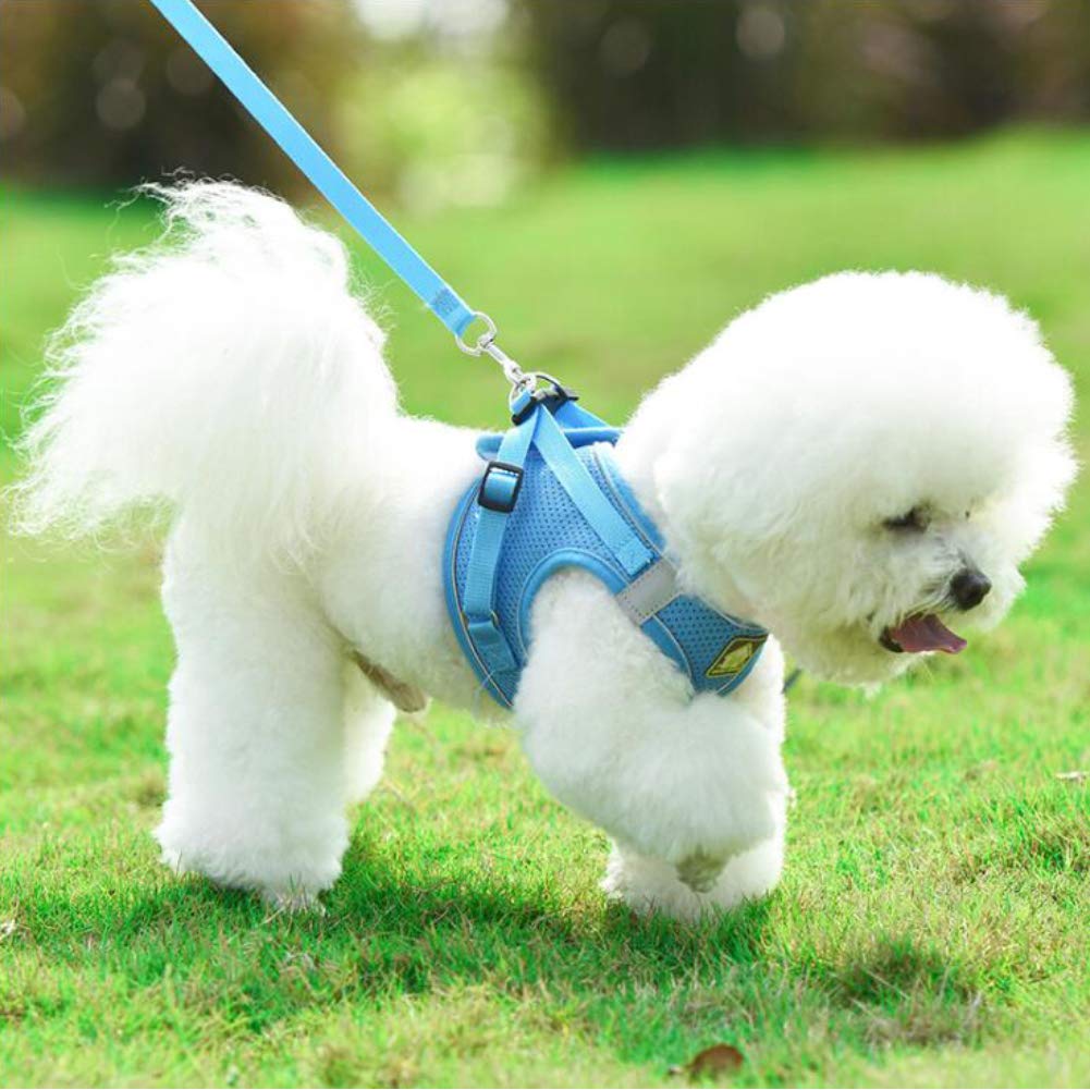 FEimaX Dog Harness and Leash Set, No Pull Soft Mesh Reflective Escape Proof Small Dog Cat Vest Adjustable Pet Outdoor Harnesses