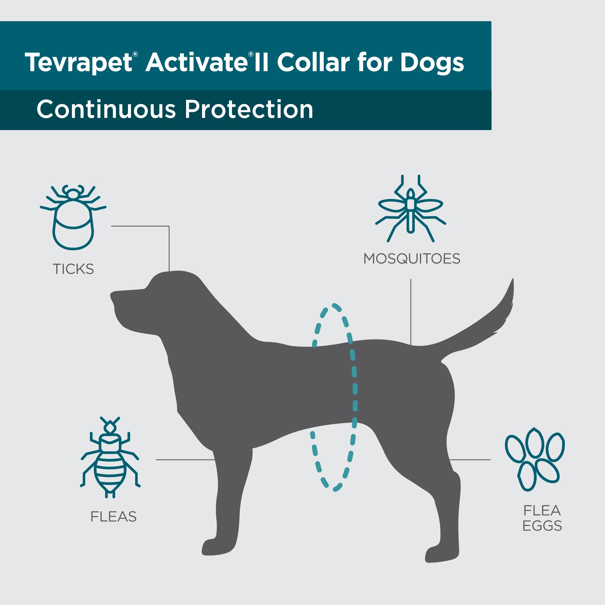 Tevrapet Activate Ii Flea And Tick Collar For Small Dogs, 12 Months Prevention, 2 Count, Fits Up 15'' Size Neck