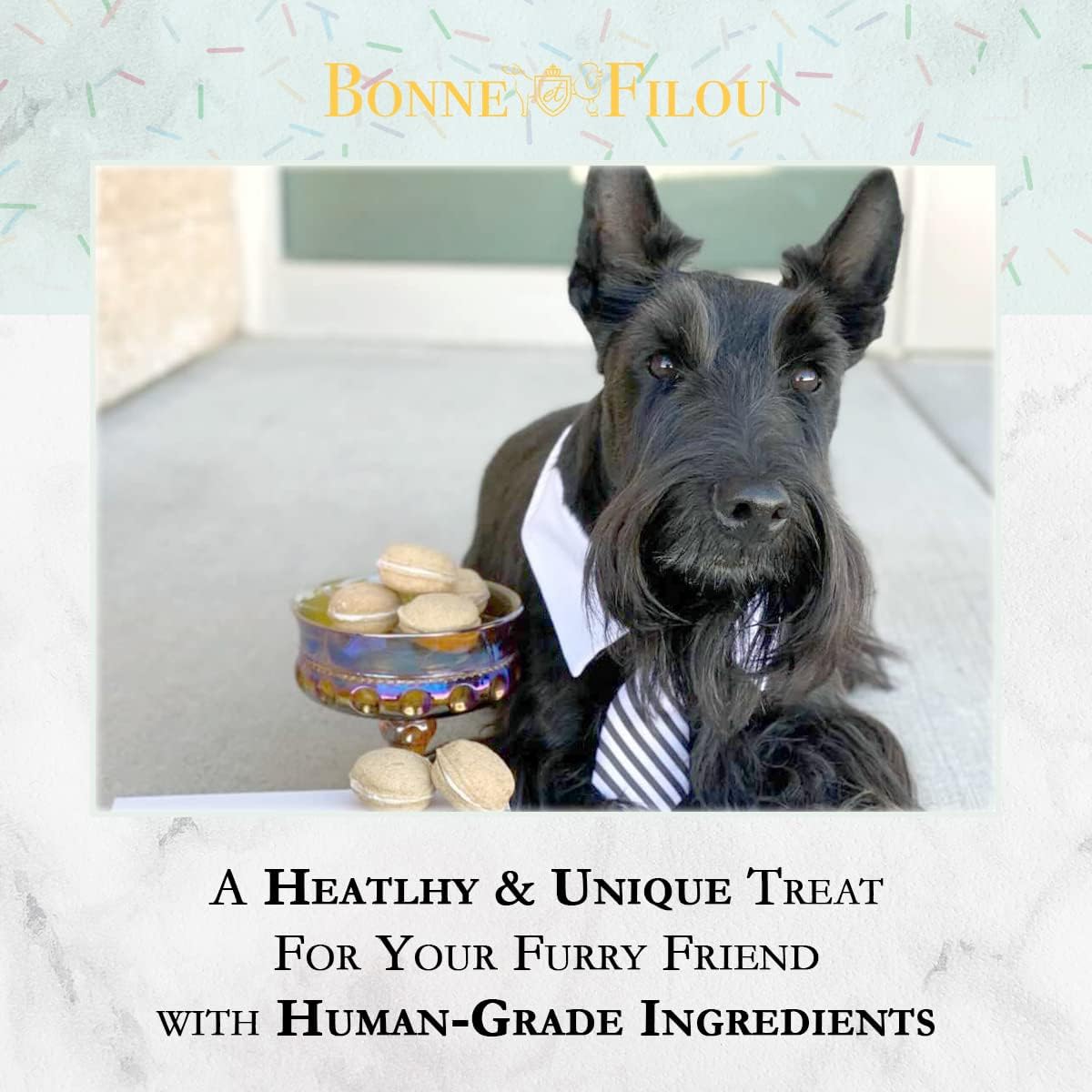 Dog Macarons - count of 6 (Dog Treats  Dog gifts)(D0102HIR0XU)
